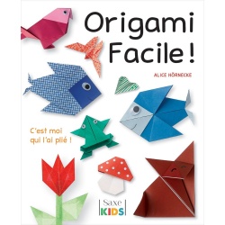 Origami facile !