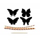 Scratch 4 papillons magiques, Avenir